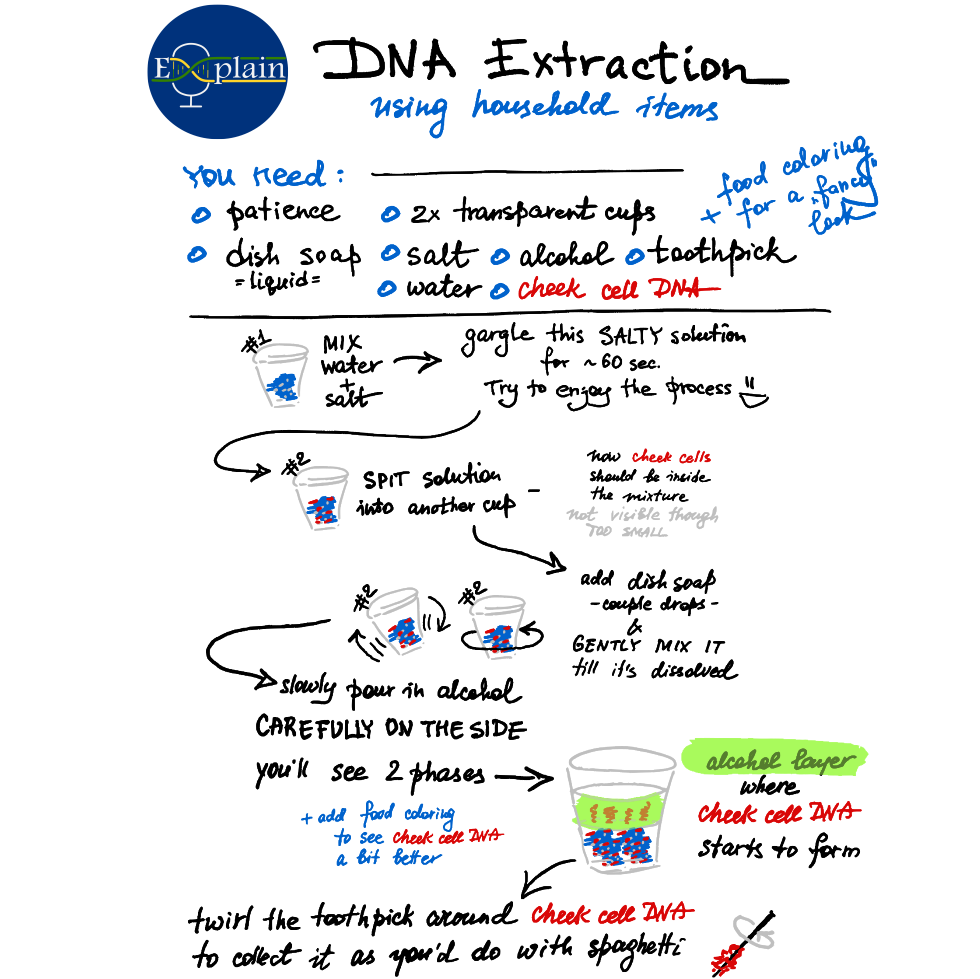 003_01_DNA_extraction