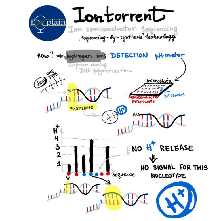 Episode 4: Ion Torrent Sequencing