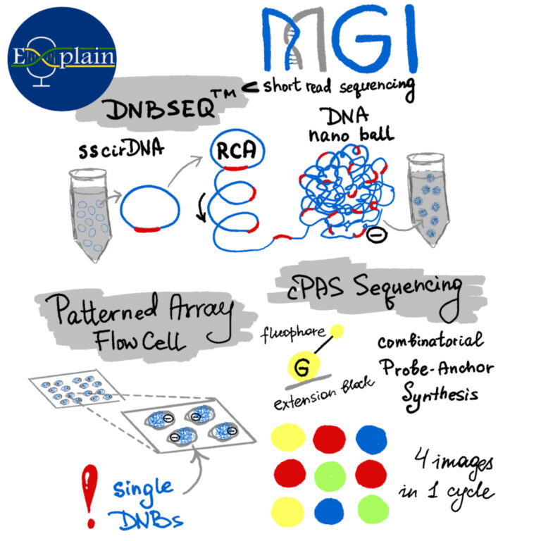 Episode 11: MGI DNA Nanoball sequencing
