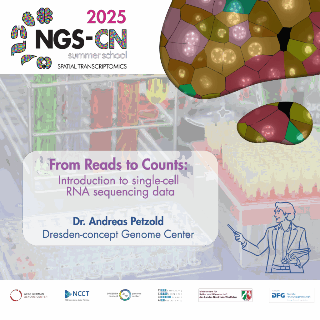 NGS-CN Summer School – next talk online