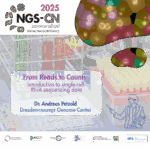 NGS-CN Summer School – next talk online