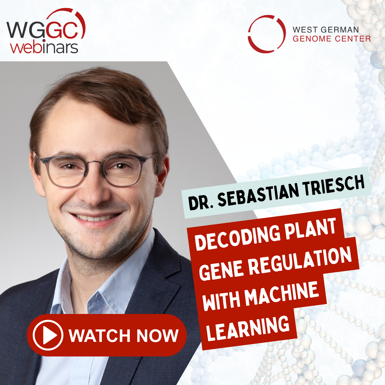 New WGGC Webinar series!