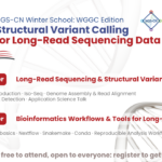 [online] 2026 NGS-CN Winter School: WGGC Edition on Structural Variant Calling for Long-Read Sequencing Data