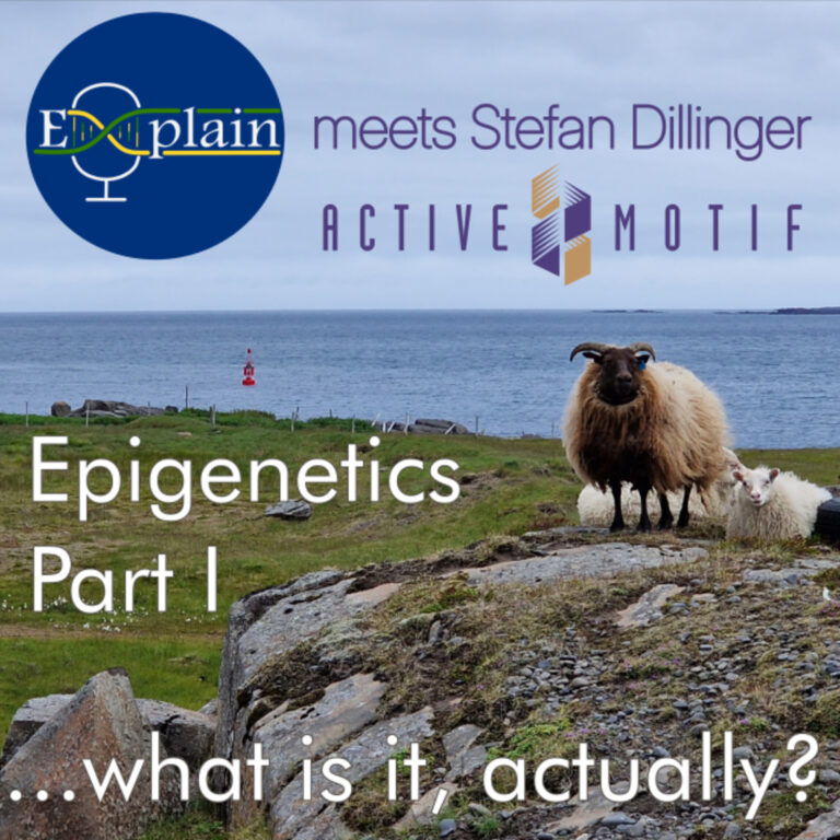 The Epigenetics Epic – Part 1